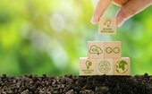 Sustainability in supply chain