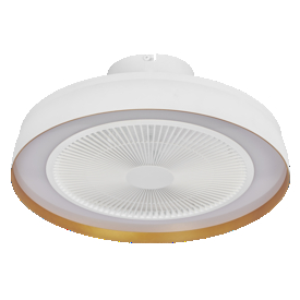 Ceiling Fan Encapsulate