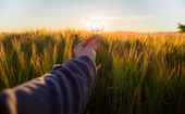 Product sustainability